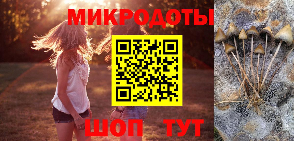 Псилоцибиновые грибы прущие грибы Краснокаменск