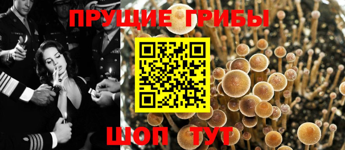 Галлюциногенные грибы прущие грибы  Вход с VPN  Краснокаменск 